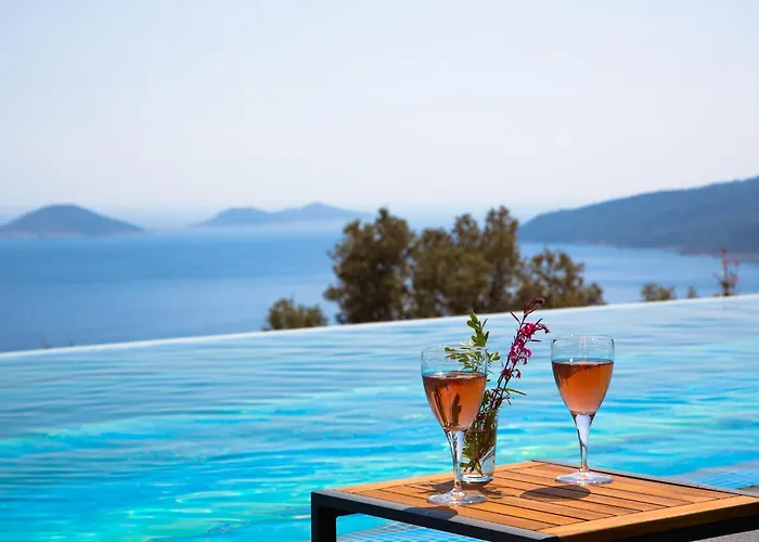 Eco Panaroma Villa